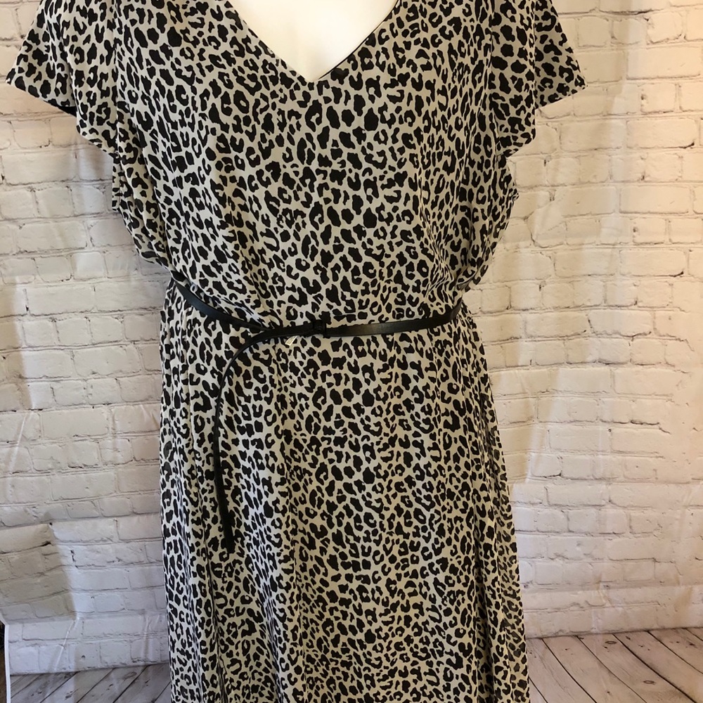 Lane Bryant animal print hi/low short sleeve dress